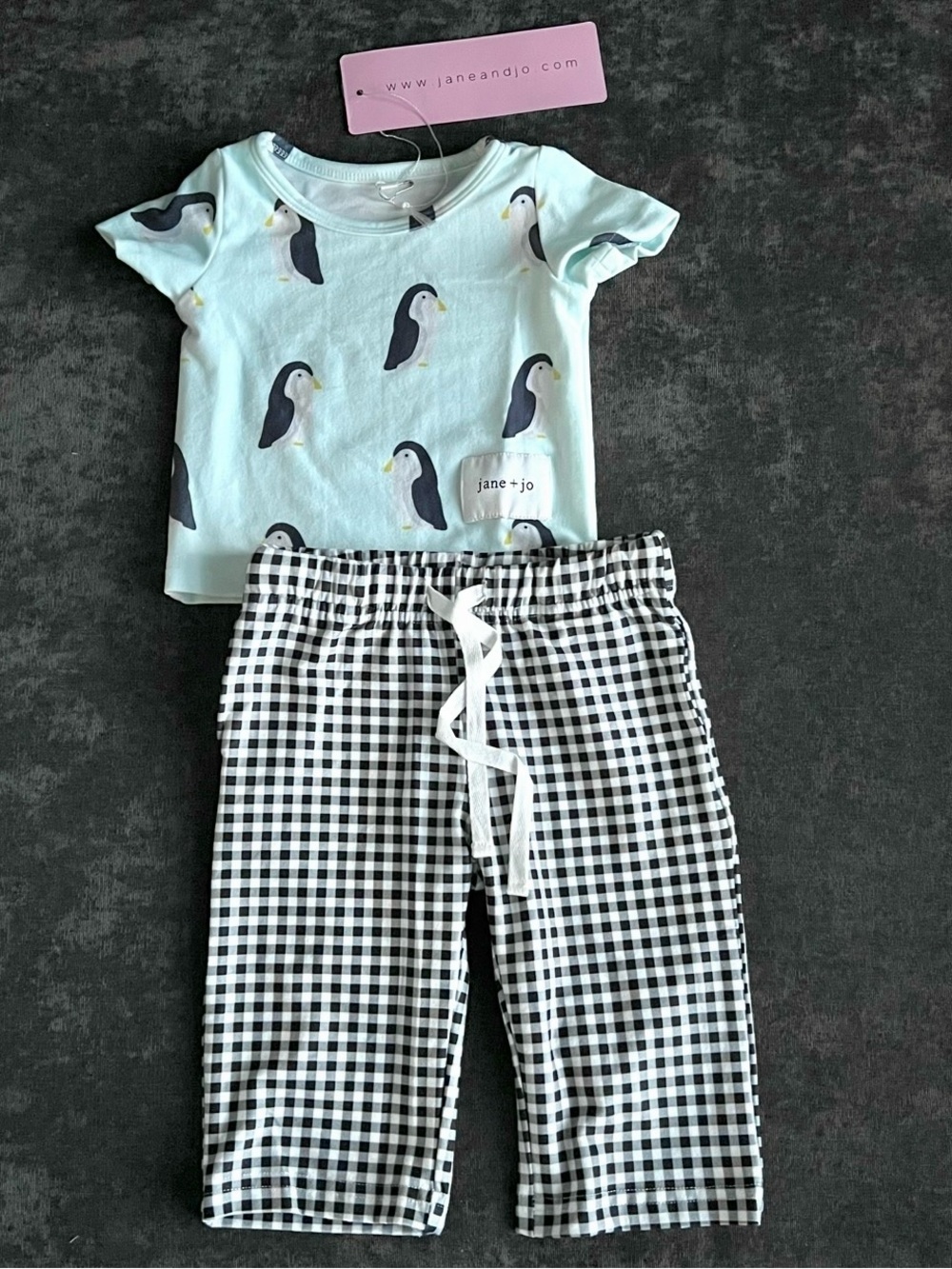 NWT Jane + Jo Kids 2 Piece Pajama Set in Penguin Waddle Size 0/3 Months